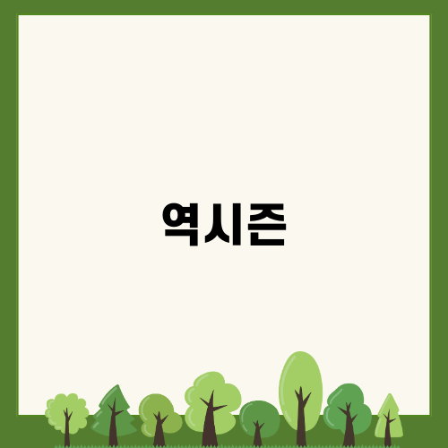 역시즌 할인으로 여름 세일 만끽하기
