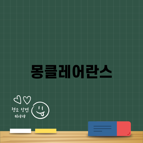 몽클레어란스의 매력에 빠져보세요