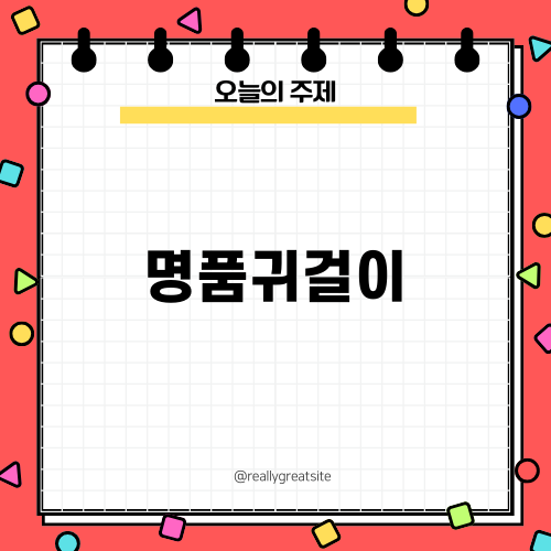 명품귀걸이의 매력과 추천 아이템