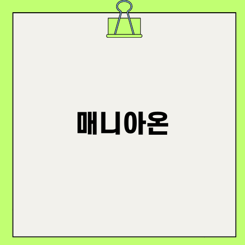 매니아온에서 만나보는 몽블랑 사토리얼 카드지갑