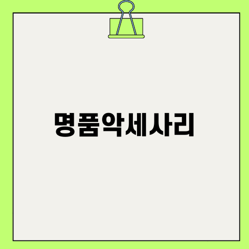 하루를 빛내는 명품악세사리