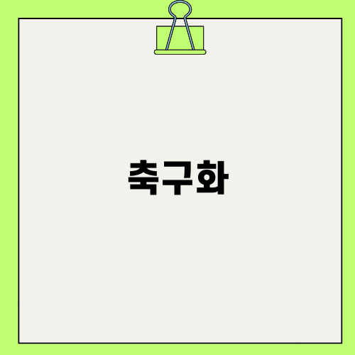 축구화의 모든 것