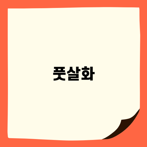 풋살화 선택의 중요성