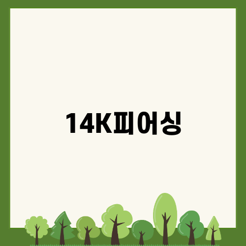피어싱의 매력을 느껴보세요 14K피어싱
